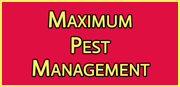 Maximum Pest Management